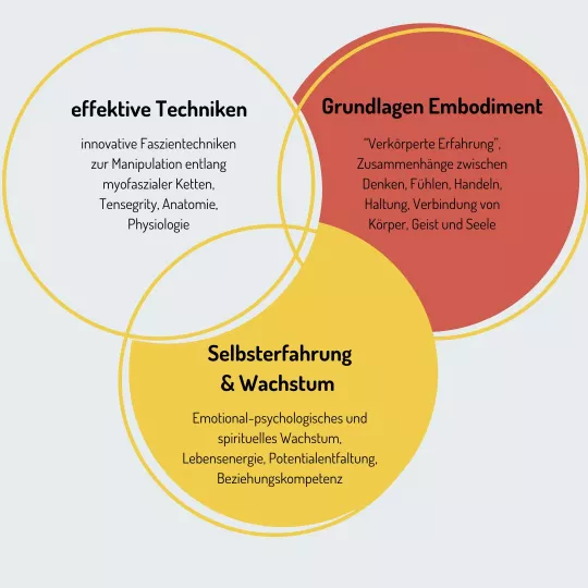 3 Säulen der ICON Faszienausbildung 3 Säulen der ICON Faszienausbildung